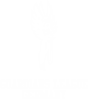 Guardians League Logo